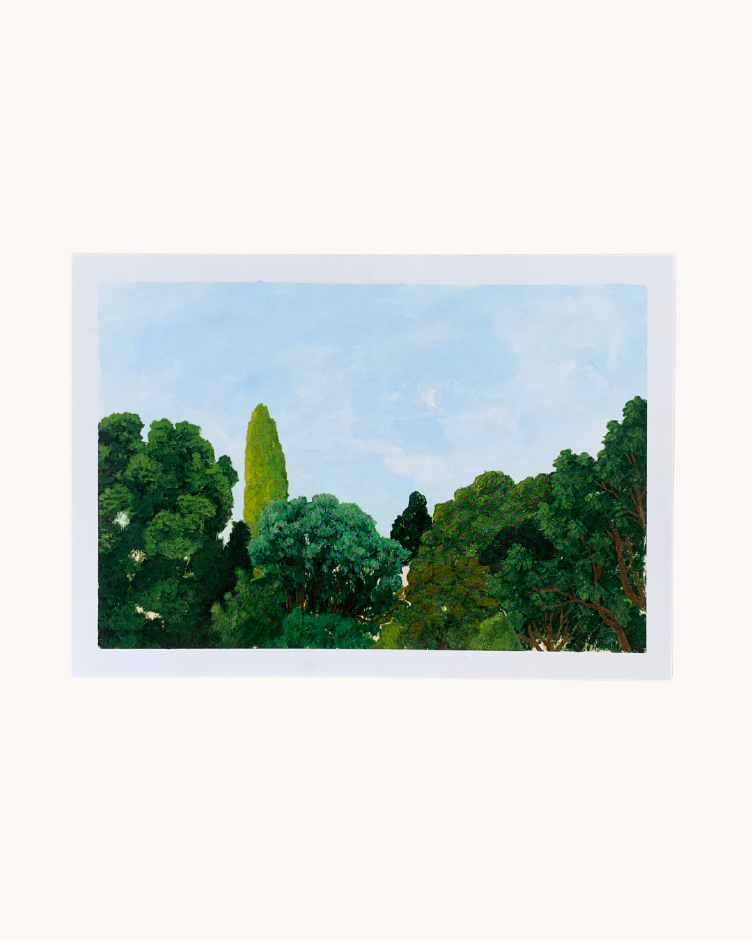 Greeting card of tree-top landscape