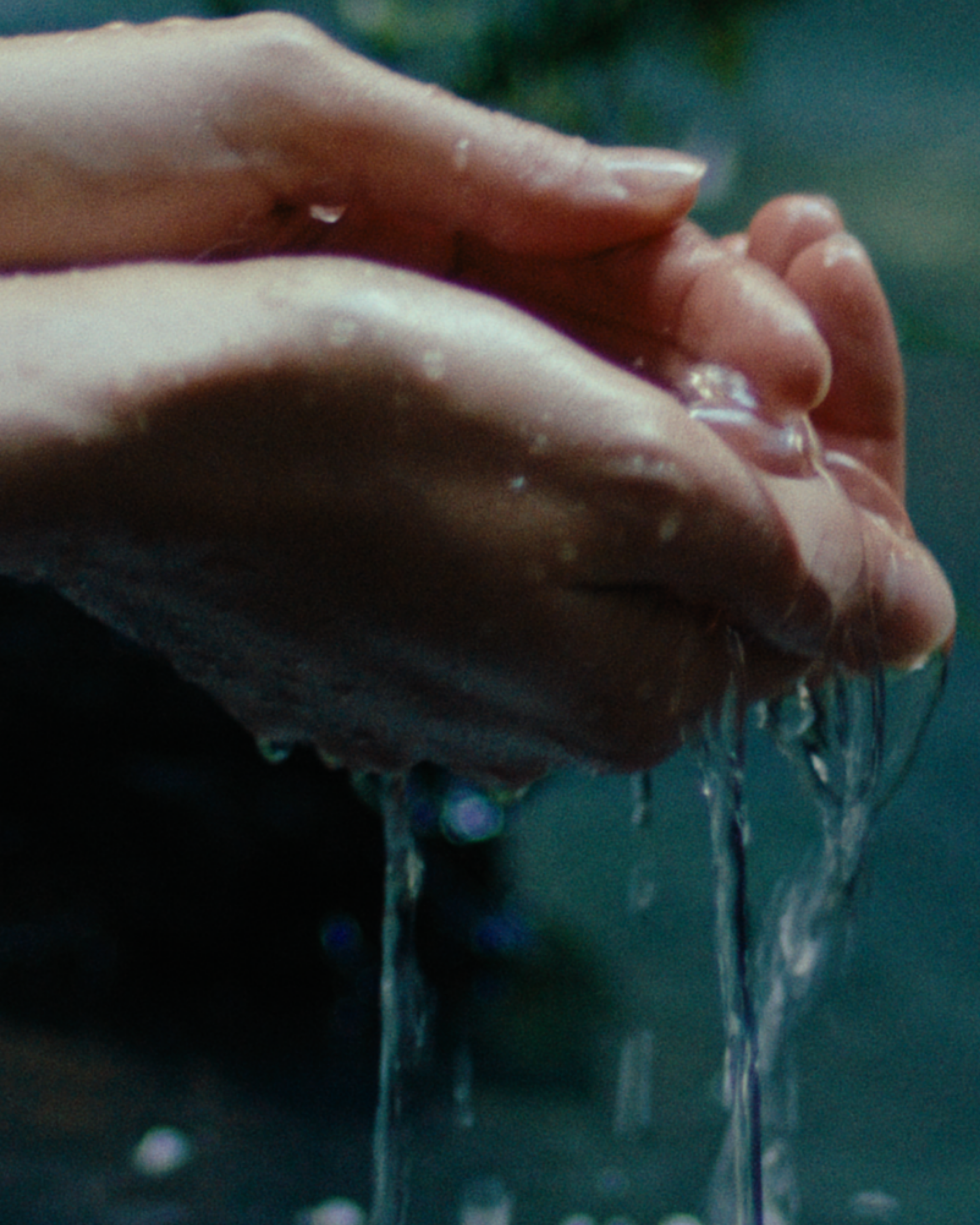 Close-up of hands holding water with a blurred natural background