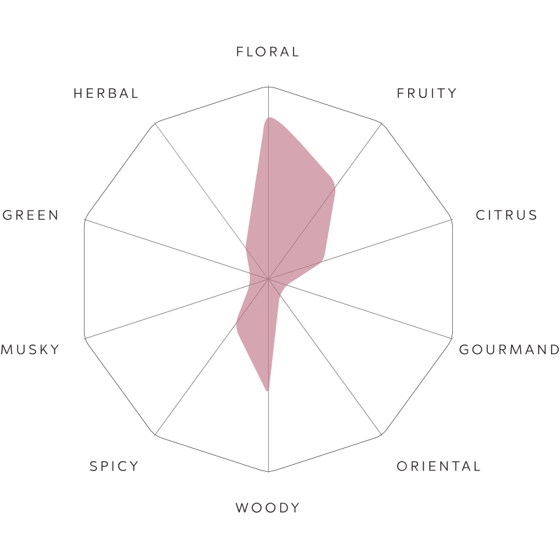 Perfume Profile for woodrose