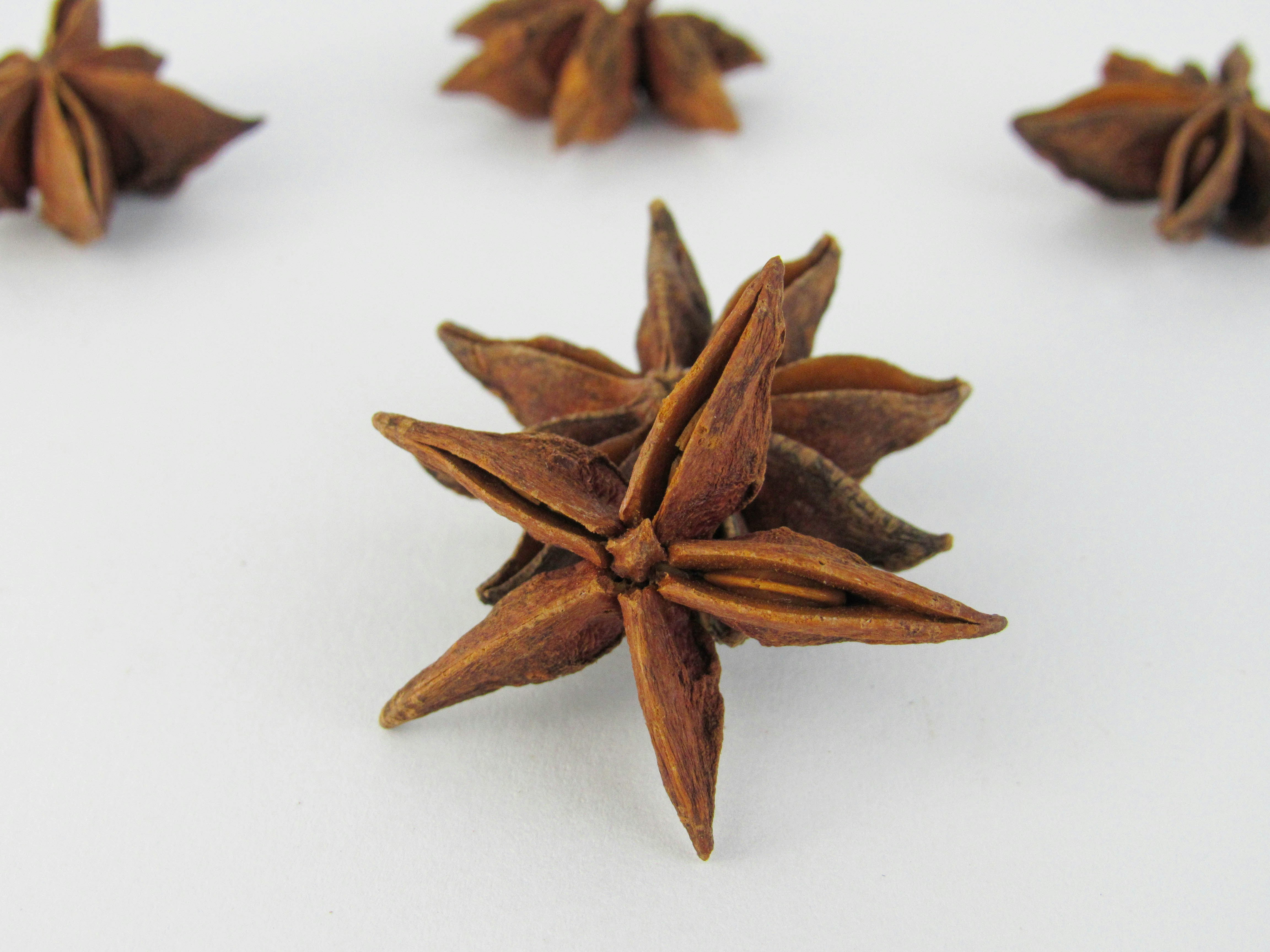 Star anise on a white background, used as an ingredient in aromatic anise tea.