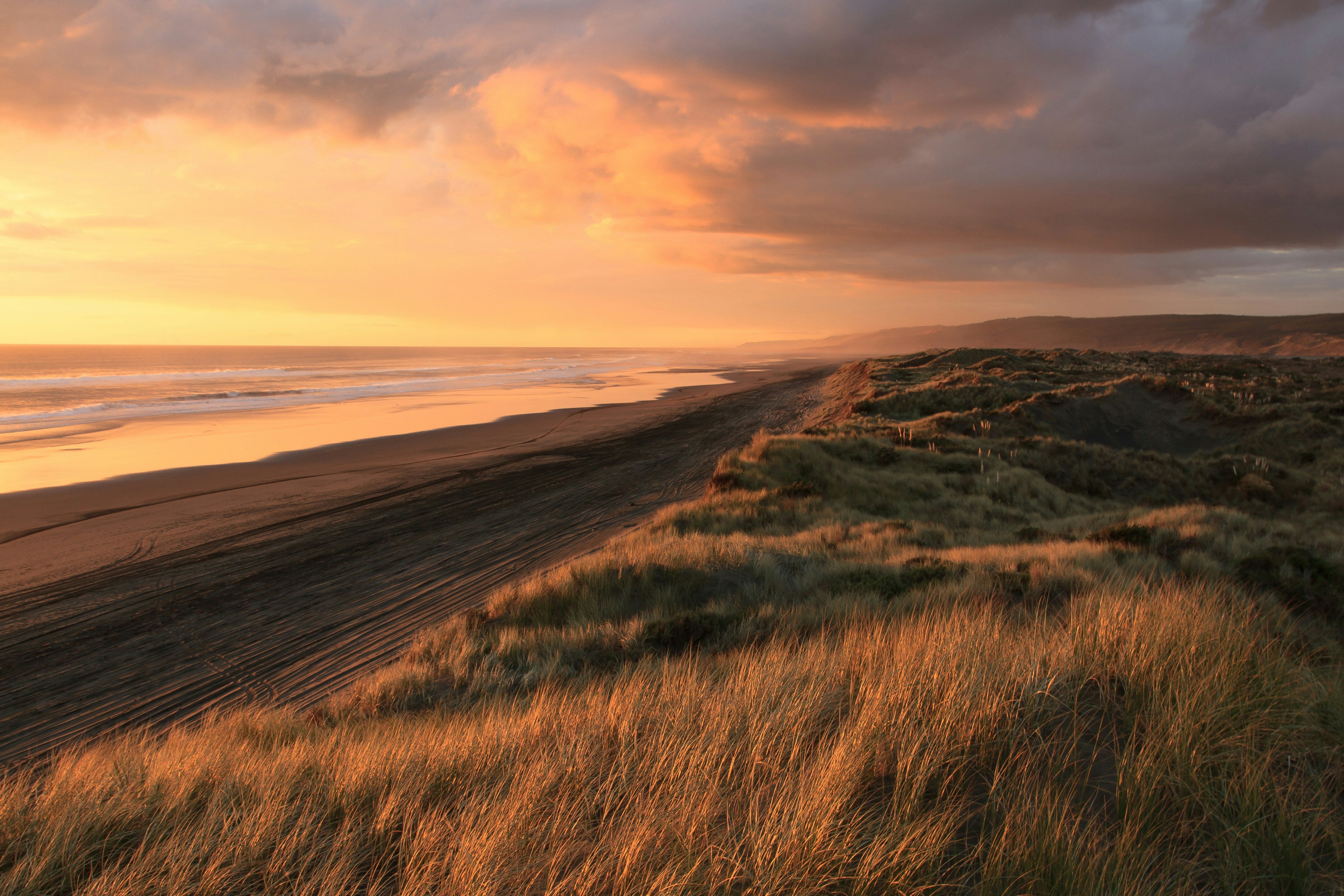 coastal landscape