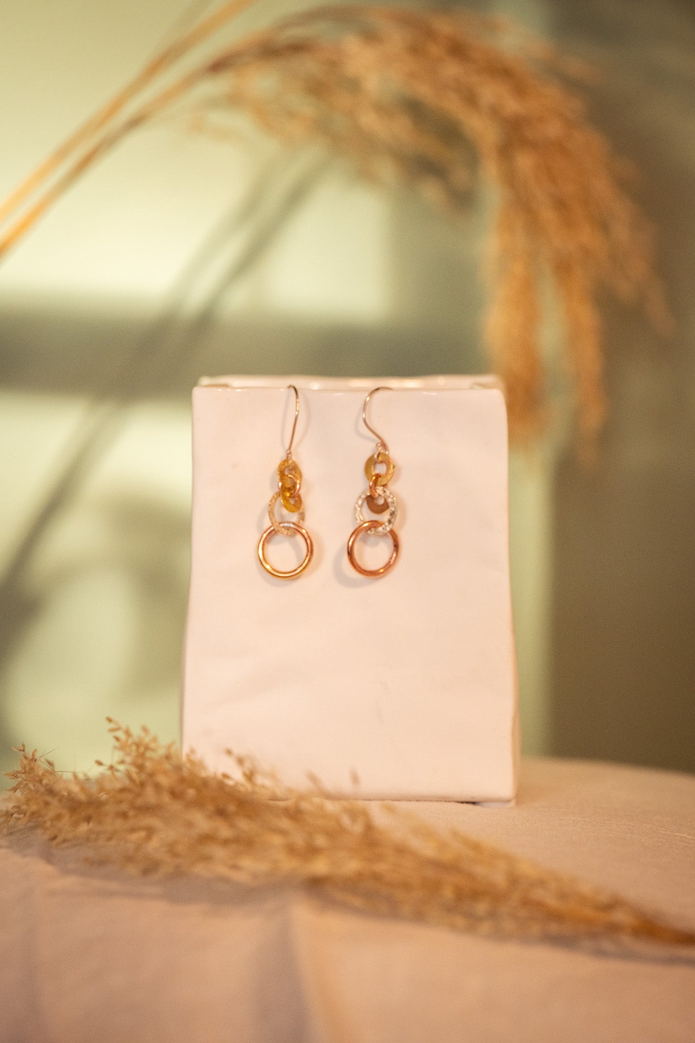 Agathe silver and brass earrings