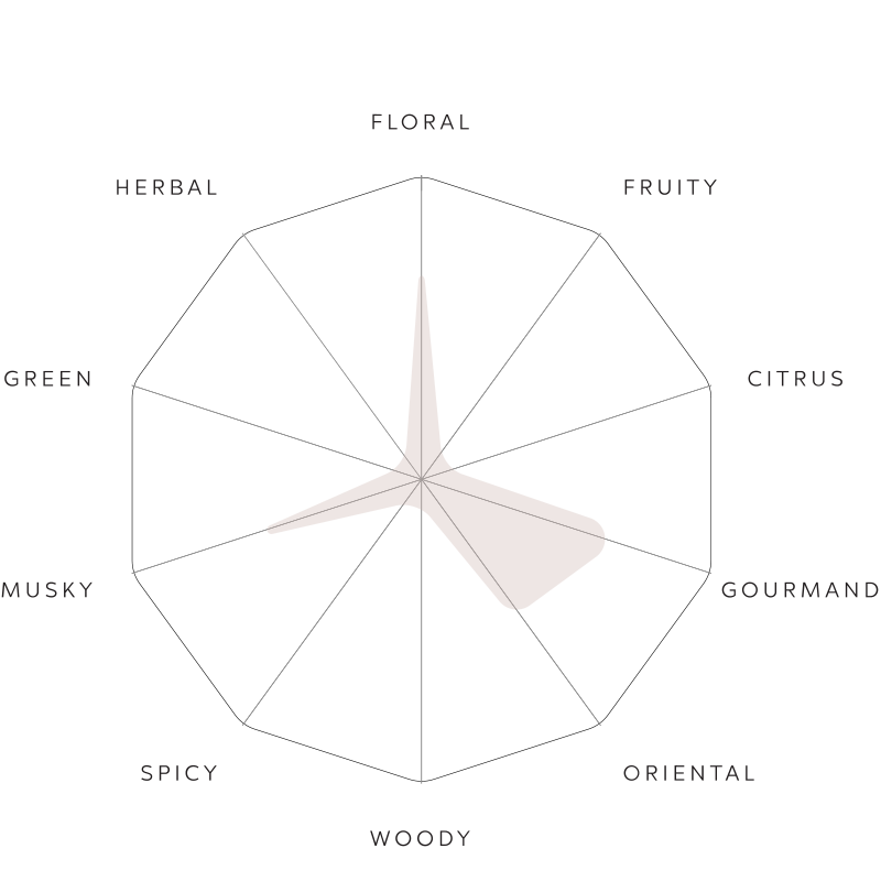 Perfume Profile - Cinta