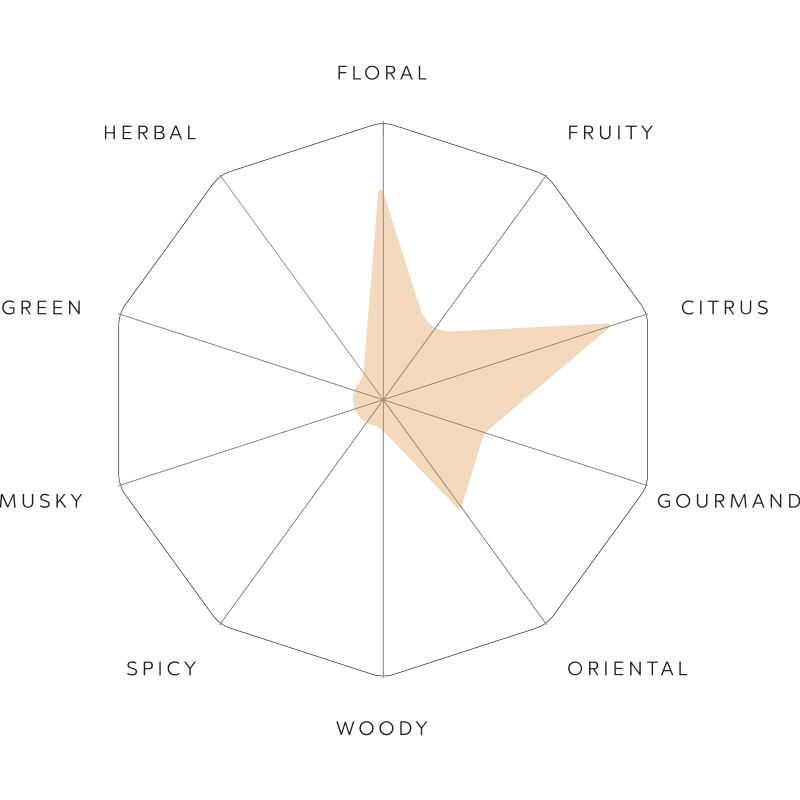Perfume Profile - honeybee