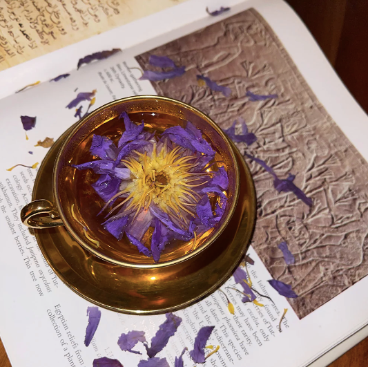Blue Lotus flower sitting in a gold tea cup