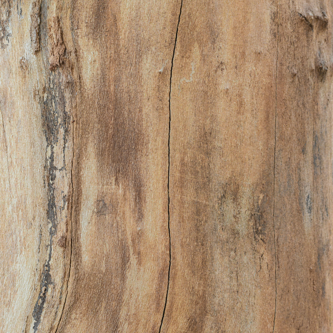 wood texture